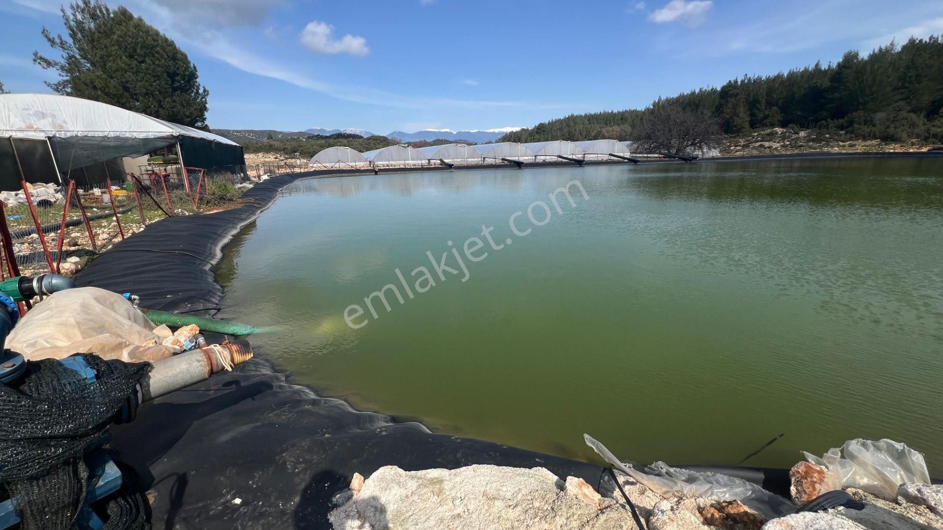 Antalya İli Kaş İlçesi Sarılar Mahallesinde Satılık Projeli Sera - Görsel 11