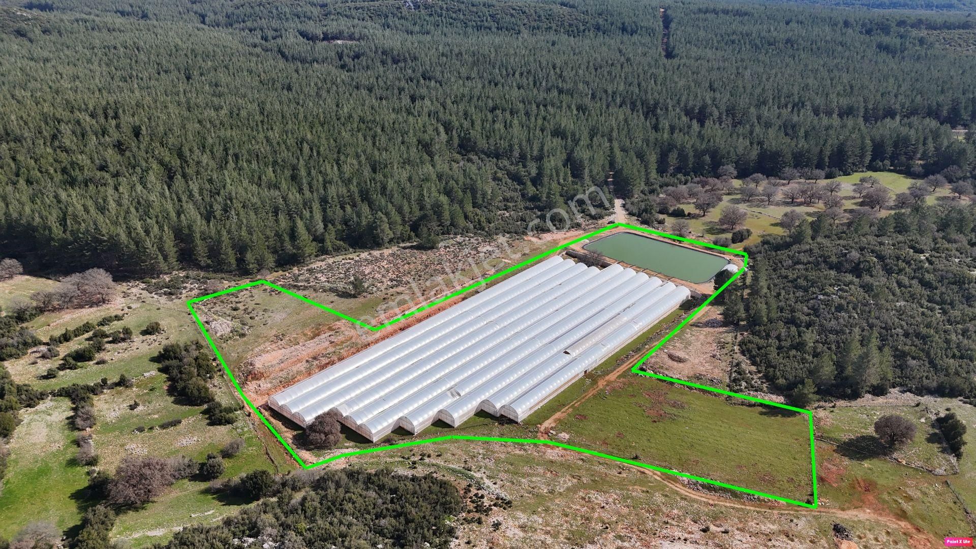 Antalya İli Kaş İlçesi Sarılar Mahallesinde Satılık Projeli Sera - Görsel 4