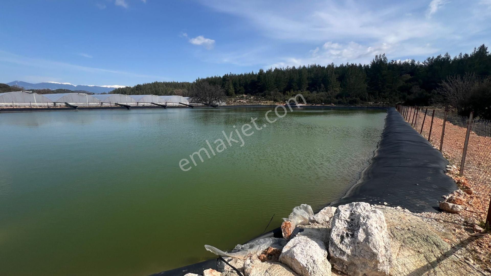 Antalya İli Kaş İlçesi Sarılar Mahallesinde Satılık Projeli Sera - Görsel 13