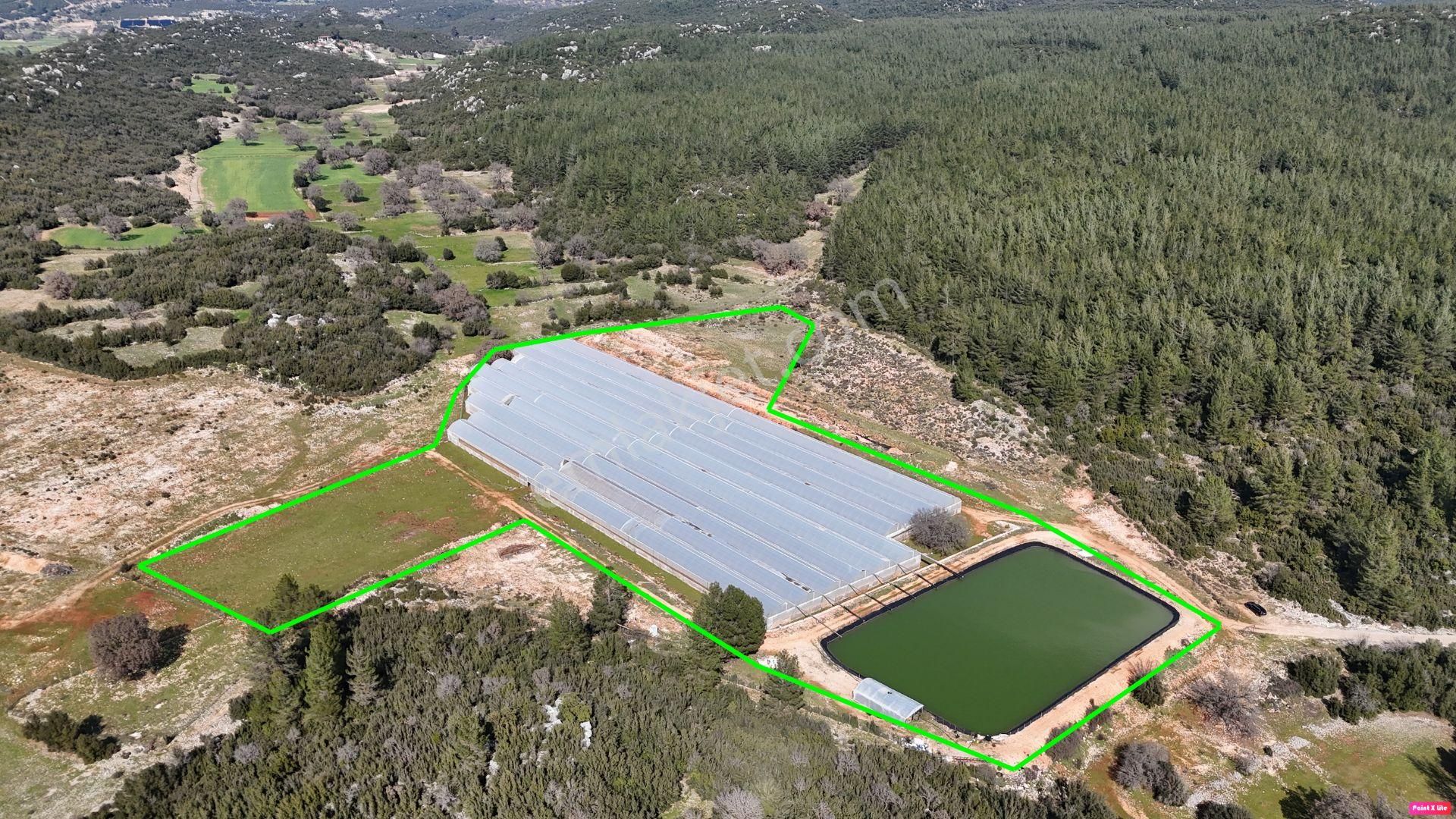 Antalya İli Kaş İlçesi Sarılar Mahallesinde Satılık Projeli Sera - Görsel 6