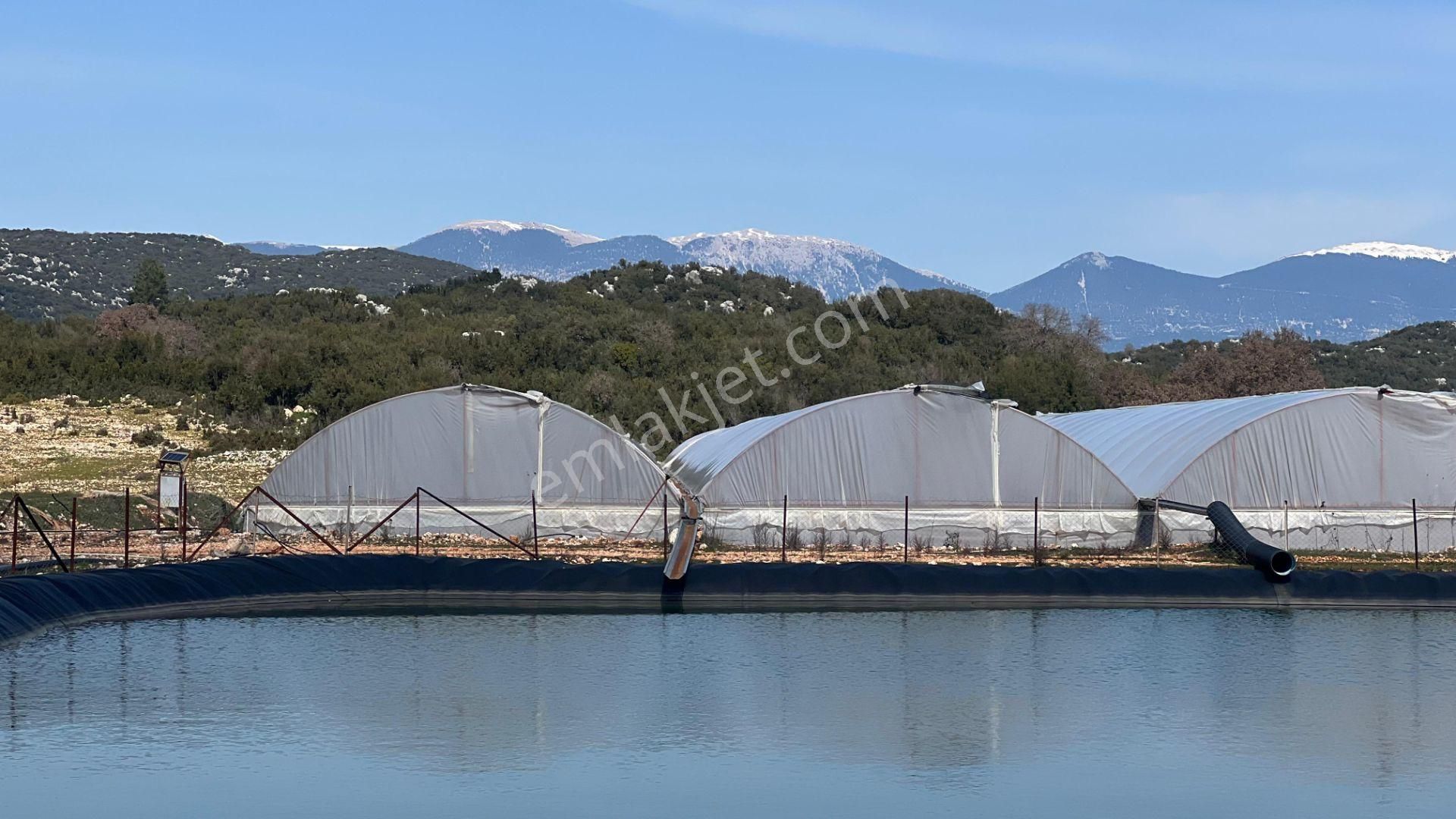 Antalya İli Kaş İlçesi Sarılar Mahallesinde Satılık Projeli Sera - Görsel 15