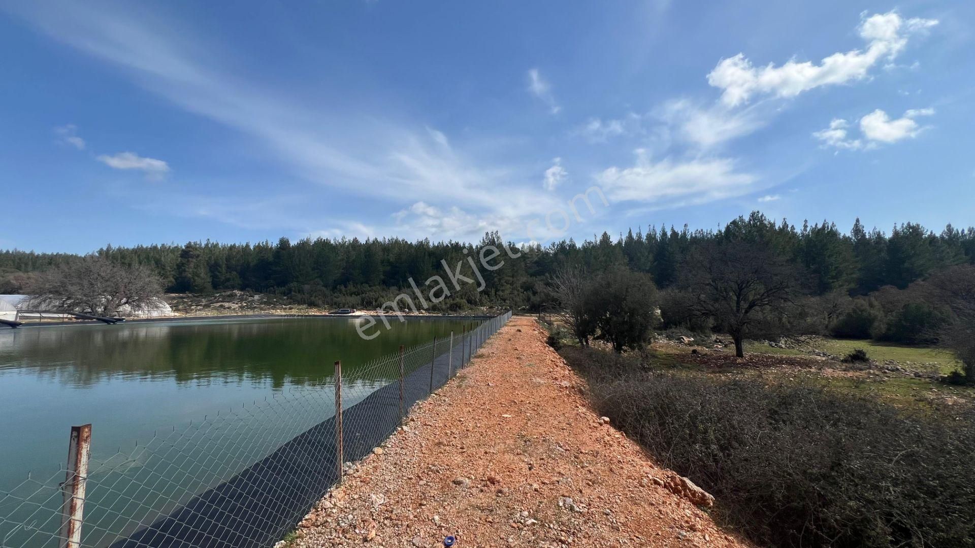Antalya İli Kaş İlçesi Sarılar Mahallesinde Satılık Projeli Sera - Görsel 16