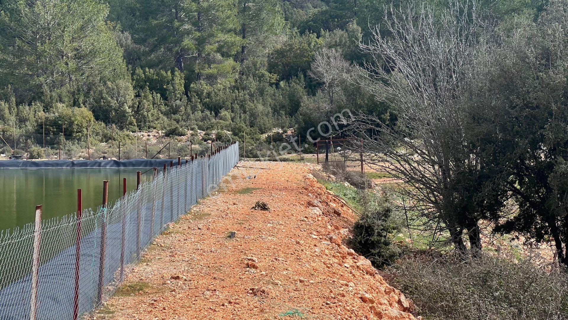 Antalya İli Kaş İlçesi Sarılar Mahallesinde Satılık Projeli Sera - Görsel 10