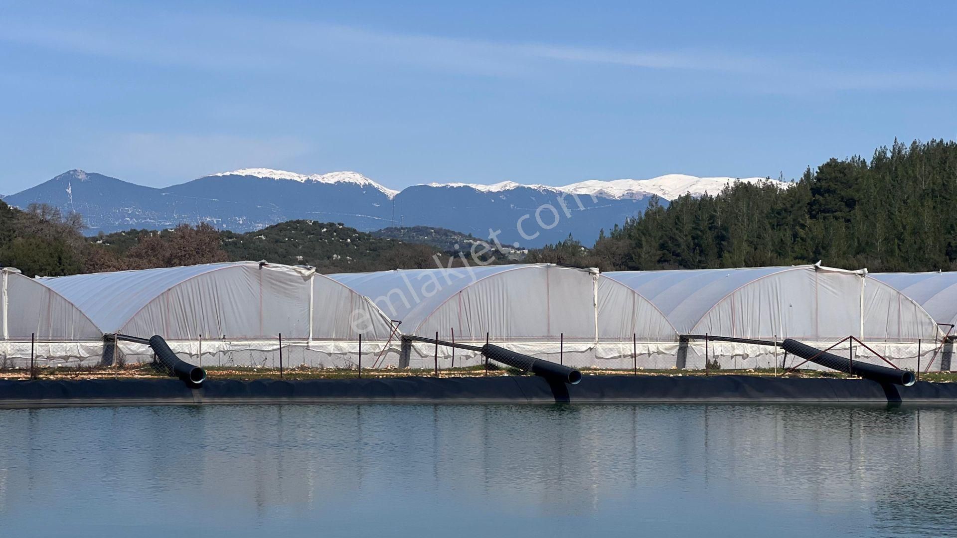 Antalya İli Kaş İlçesi Sarılar Mahallesinde Satılık Projeli Sera - Görsel 17