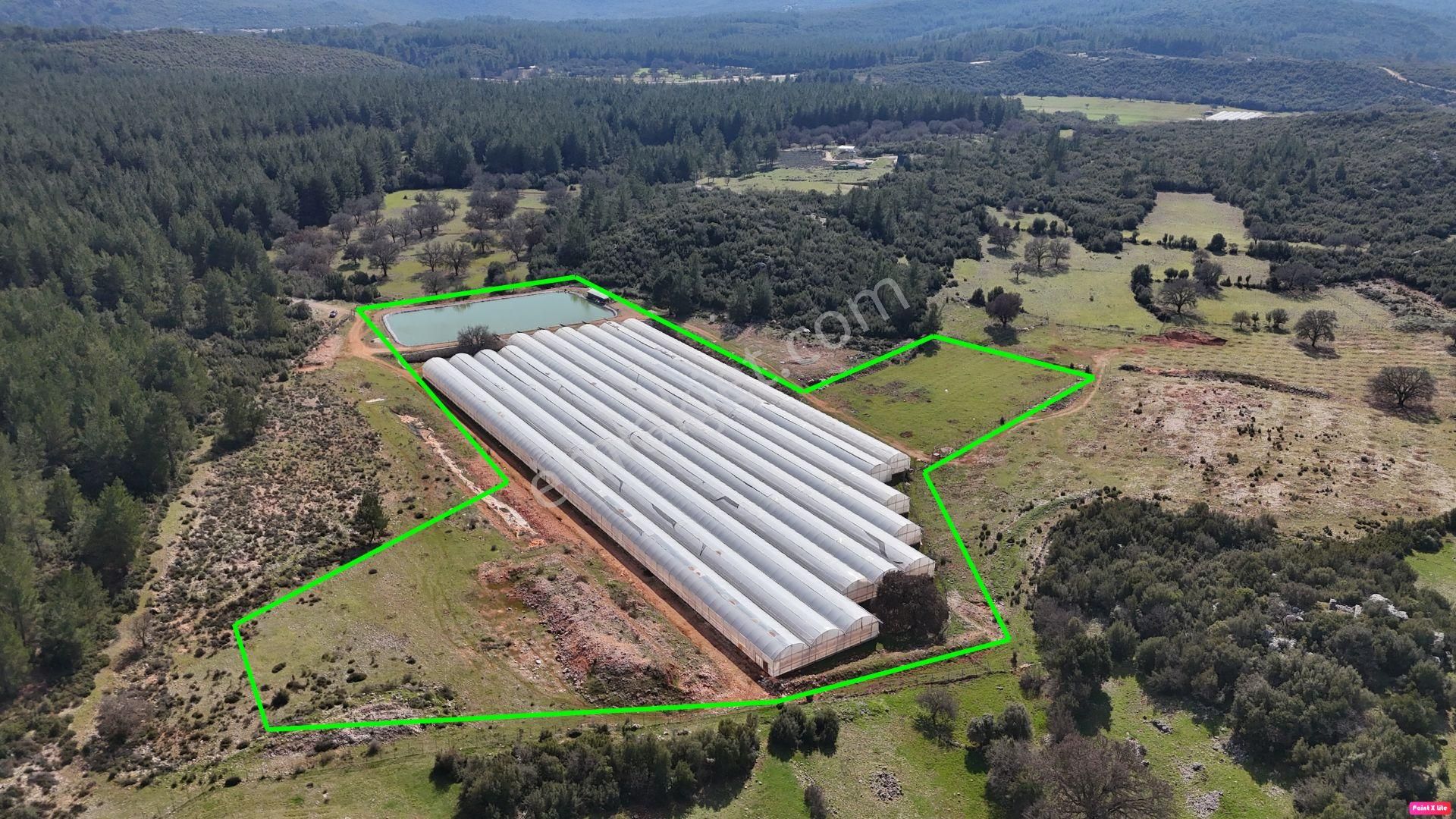 Antalya İli Kaş İlçesi Sarılar Mahallesinde Satılık Projeli Sera - Görsel 9