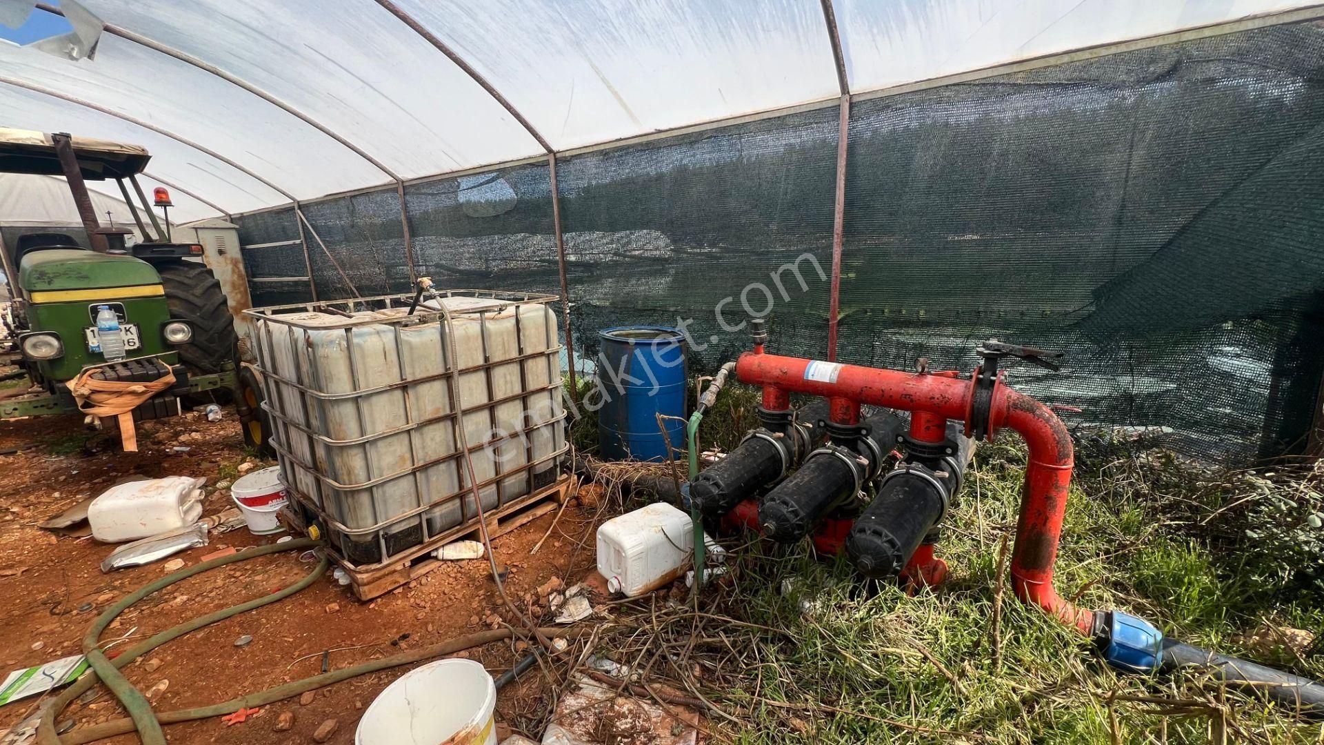 Antalya İli Kaş İlçesi Sarılar Mahallesinde Satılık Projeli Sera - Görsel 25