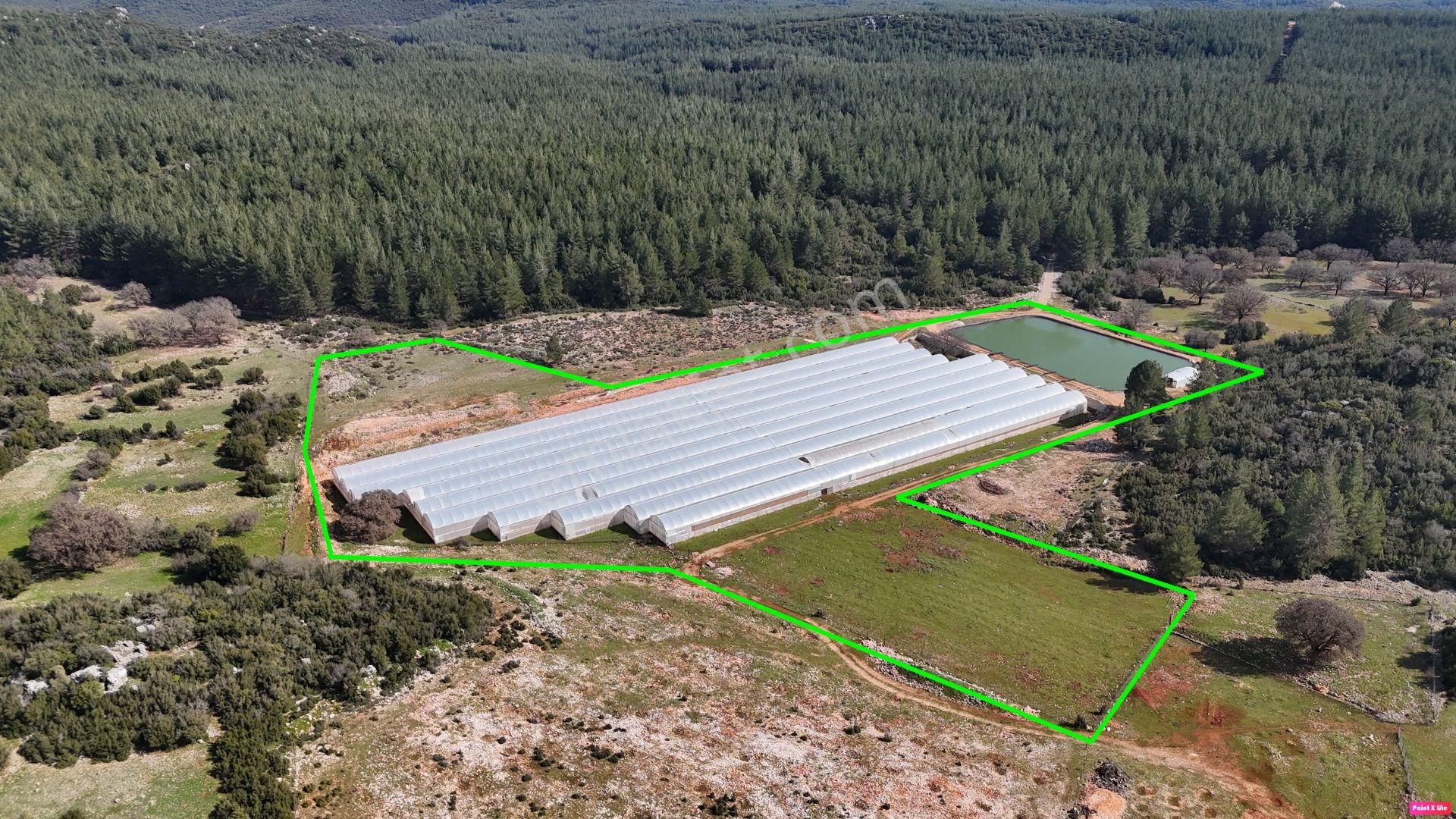 Antalya İli Kaş İlçesi Sarılar Mahallesinde Satılık Projeli Sera - Görsel 7