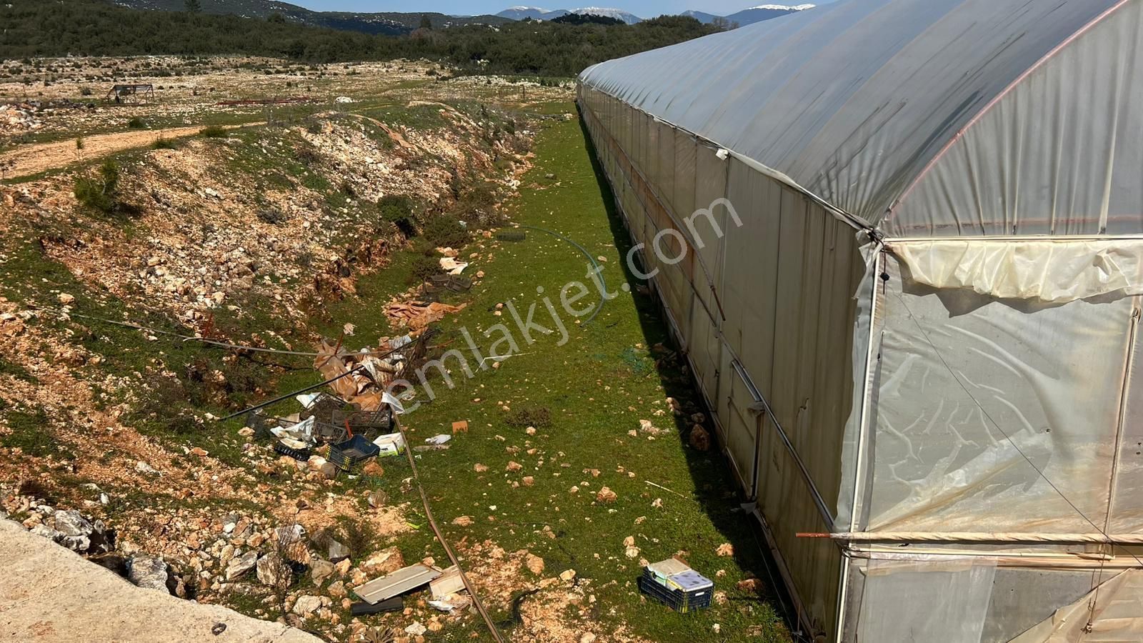 Antalya İli Kaş İlçesi Sarılar Mahallesinde Satılık Projeli Sera - Görsel 35