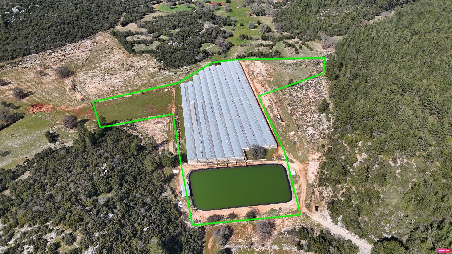 Antalya İli Kaş İlçesi Sarılar Mahallesinde Satılık Projeli Sera