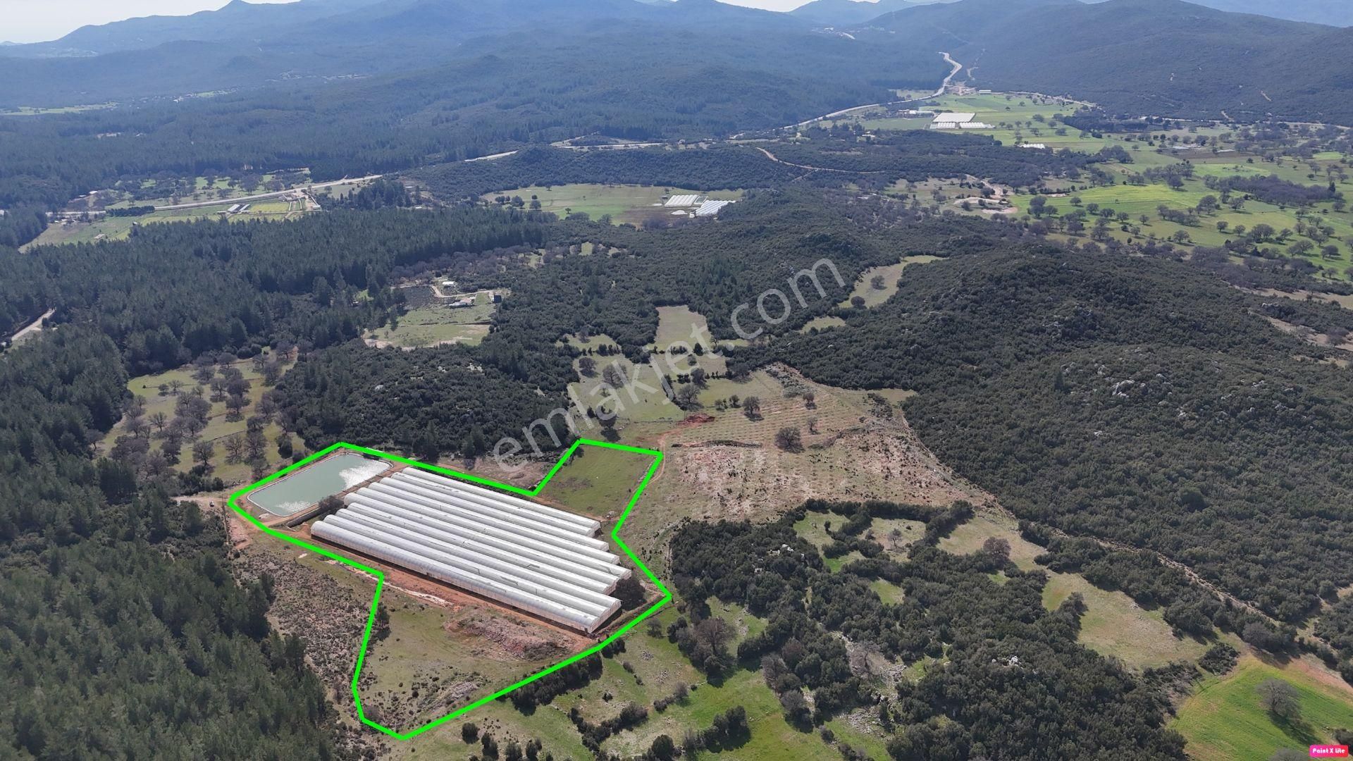 Antalya İli Kaş İlçesi Sarılar Mahallesinde Satılık Projeli Sera - Görsel 3