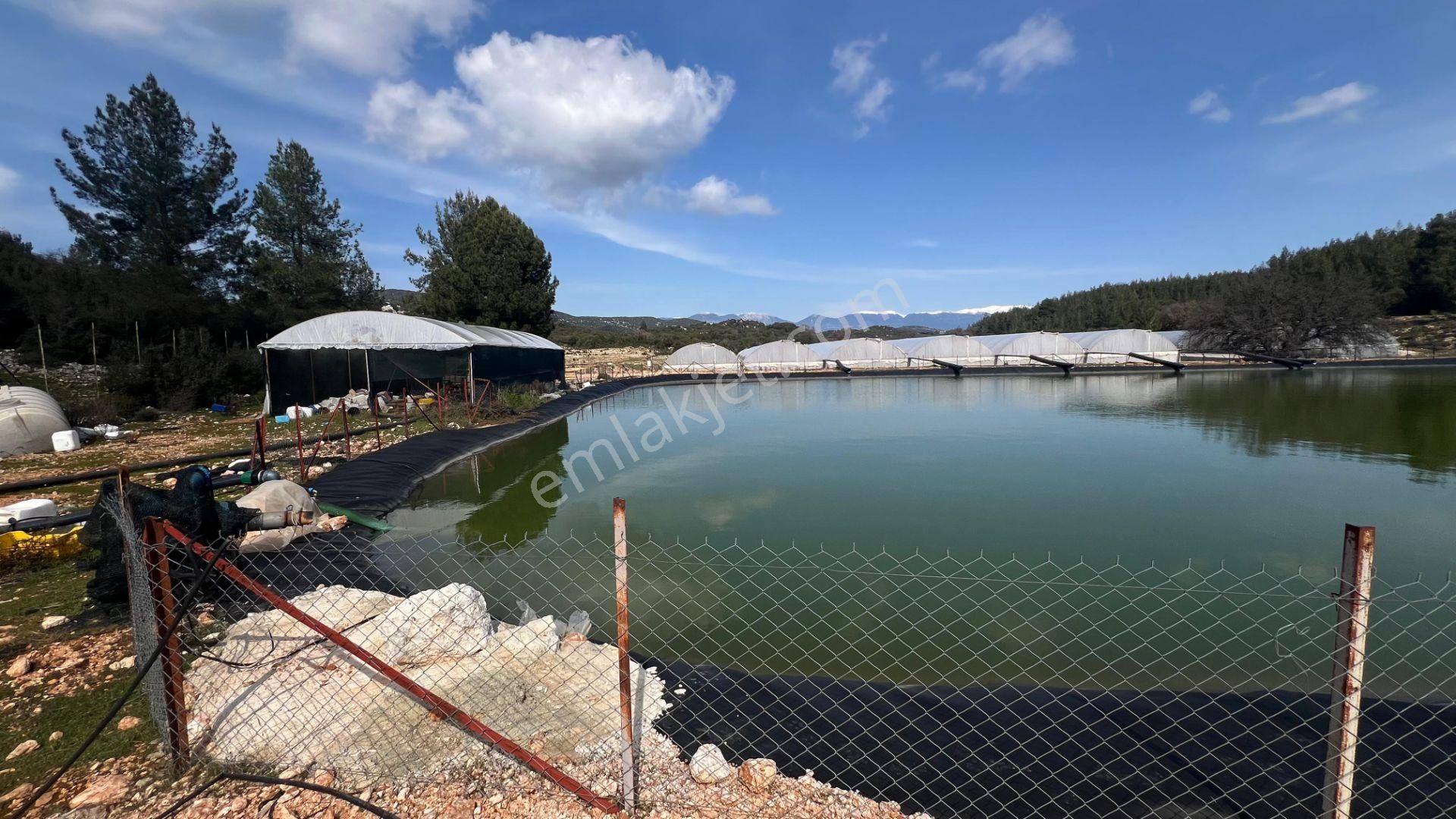 Antalya İli Kaş İlçesi Sarılar Mahallesinde Satılık Projeli Sera - Görsel 21