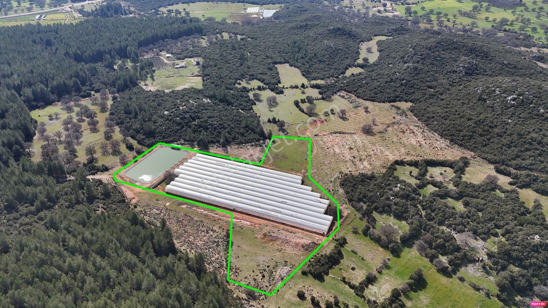 Antalya İli Kaş İlçesi Sarılar Mahallesinde Satılık Projeli Sera - Görsel 2
