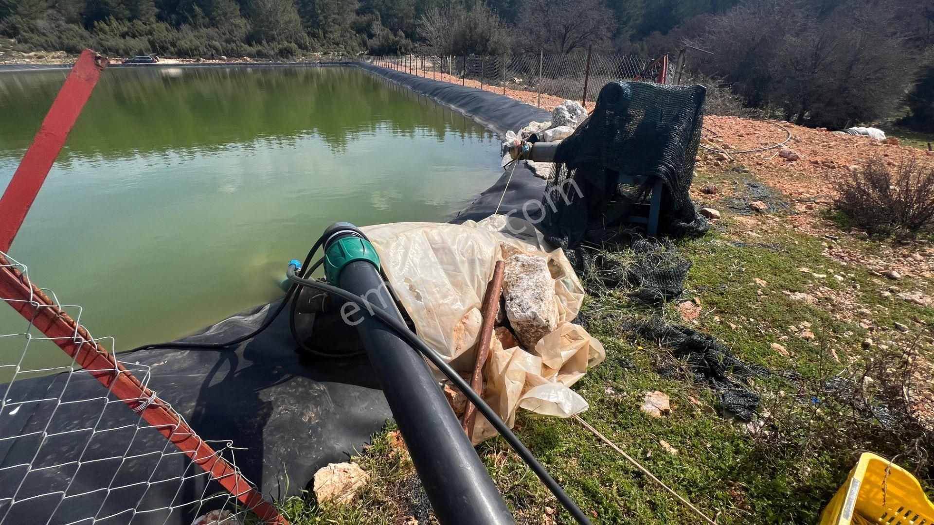 Antalya İli Kaş İlçesi Sarılar Mahallesinde Satılık Projeli Sera - Görsel 22