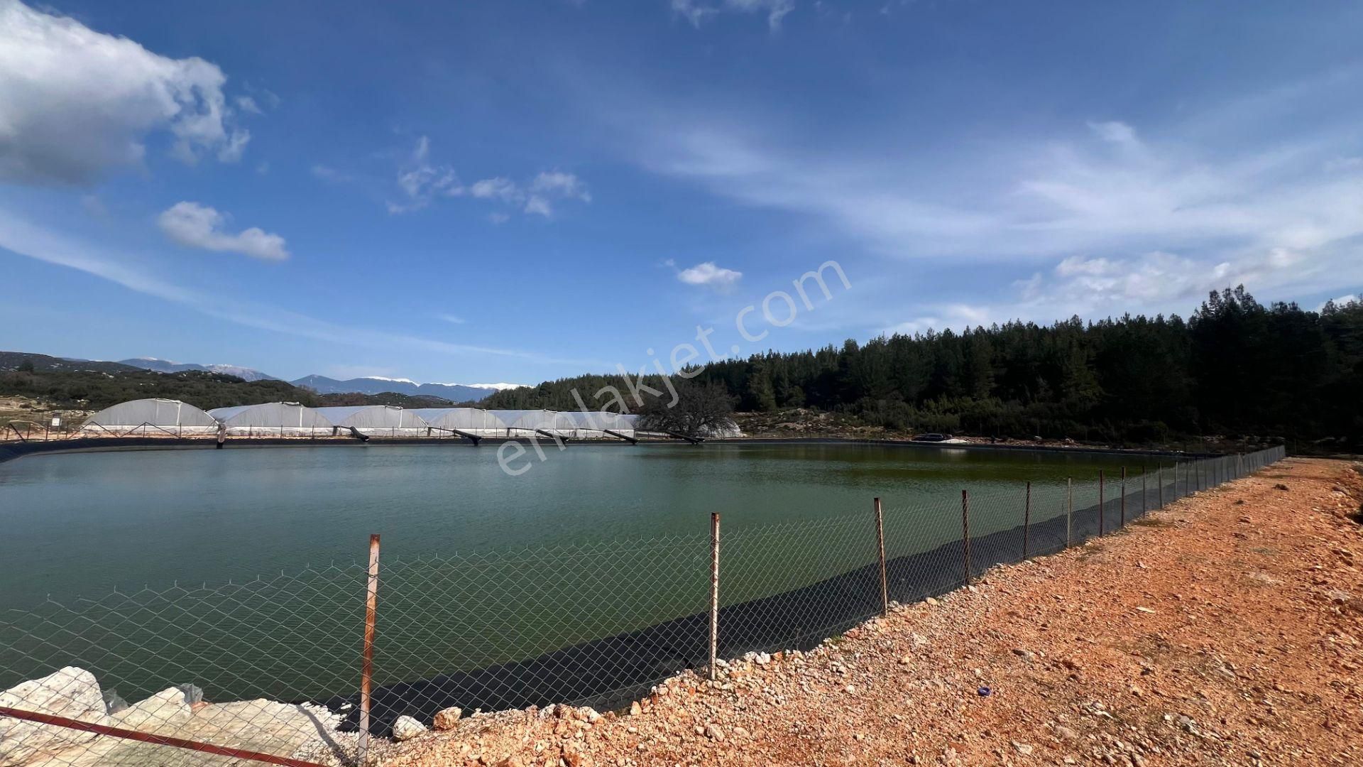 Antalya İli Kaş İlçesi Sarılar Mahallesinde Satılık Projeli Sera - Görsel 12