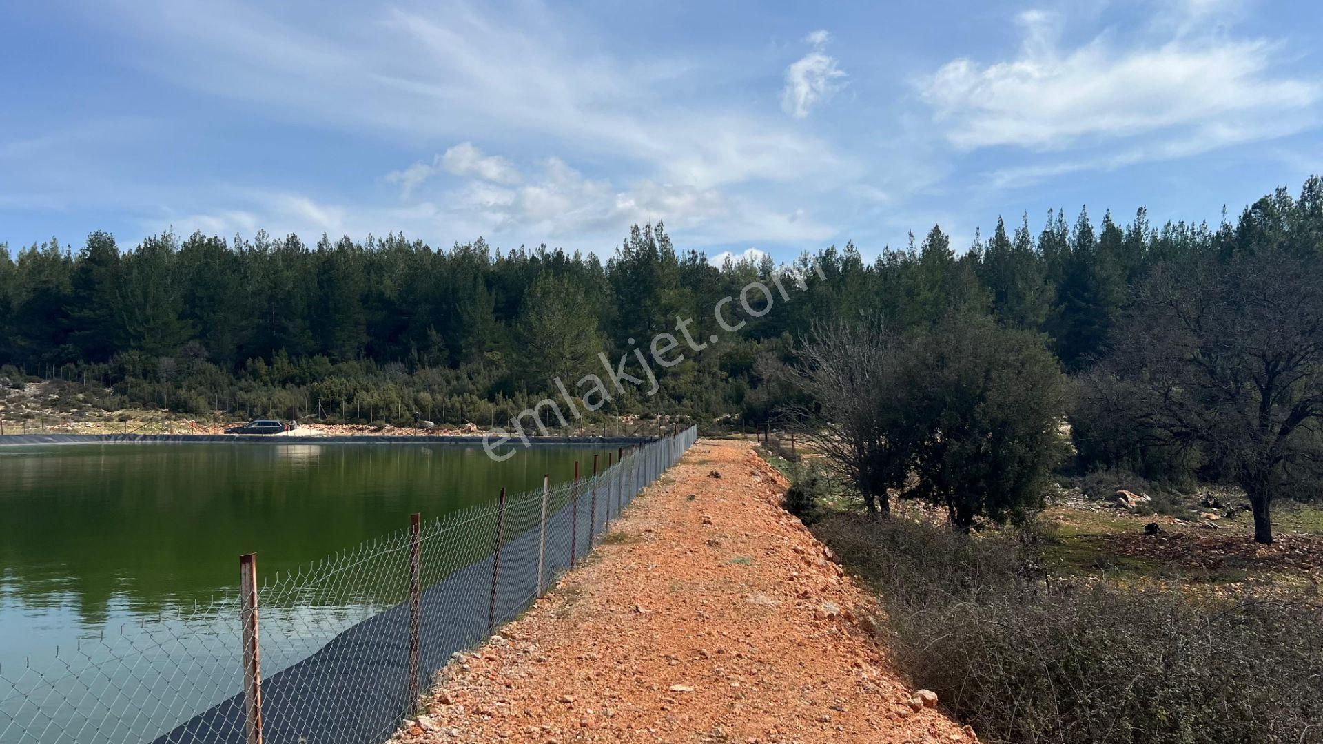 Antalya İli Kaş İlçesi Sarılar Mahallesinde Satılık Projeli Sera - Görsel 14