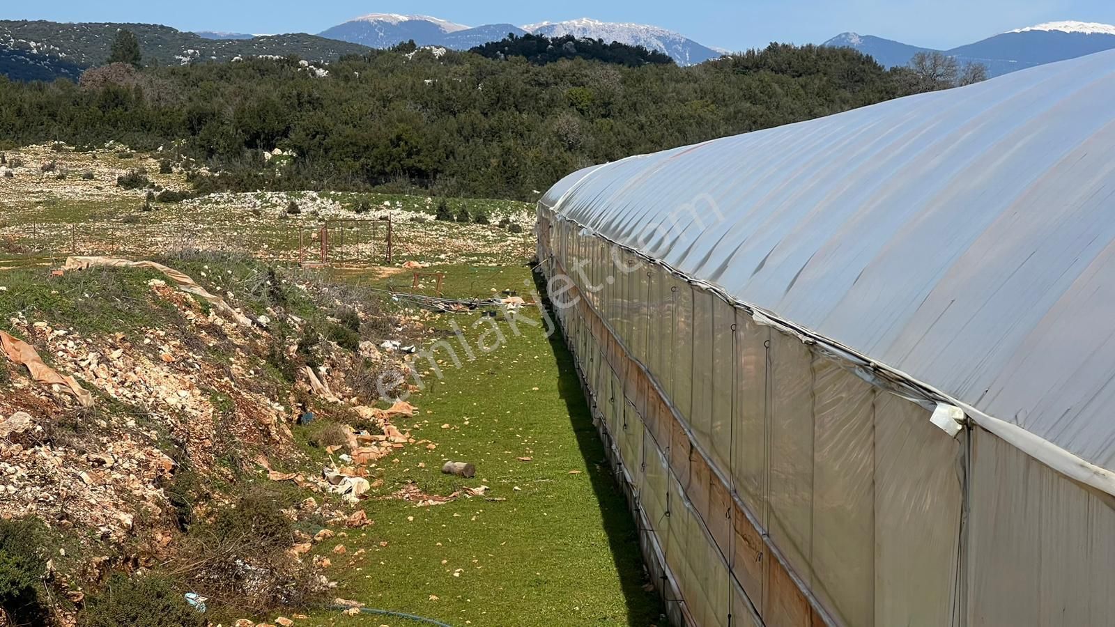 Antalya İli Kaş İlçesi Sarılar Mahallesinde Satılık Projeli Sera - Görsel 33