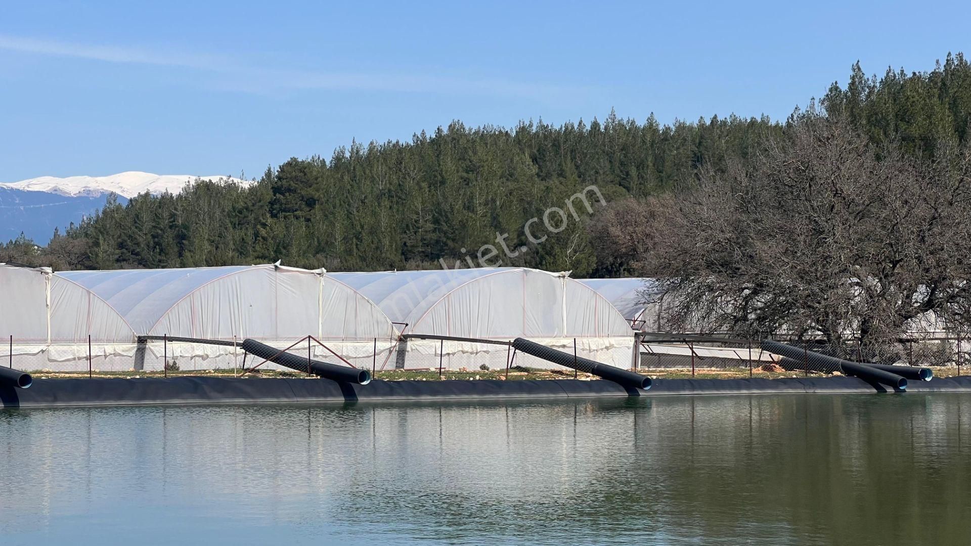 Antalya İli Kaş İlçesi Sarılar Mahallesinde Satılık Projeli Sera - Görsel 18