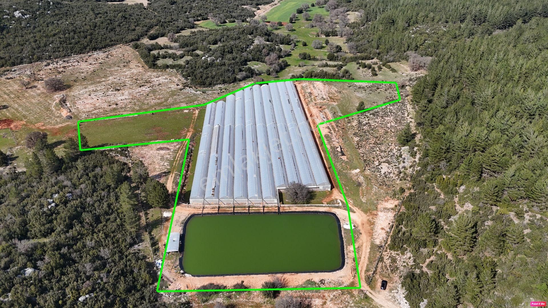 Antalya İli Kaş İlçesi Sarılar Mahallesinde Satılık Projeli Sera - Görsel 5