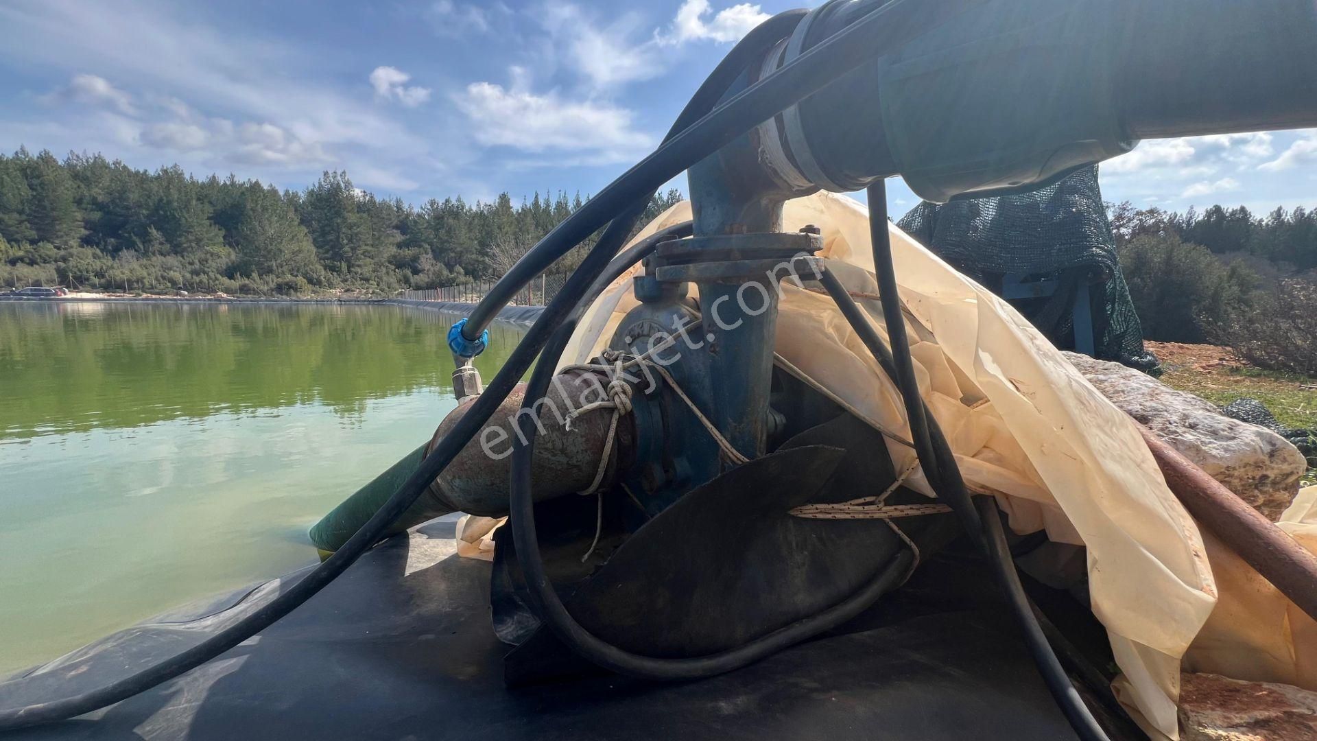 Antalya İli Kaş İlçesi Sarılar Mahallesinde Satılık Projeli Sera - Görsel 23