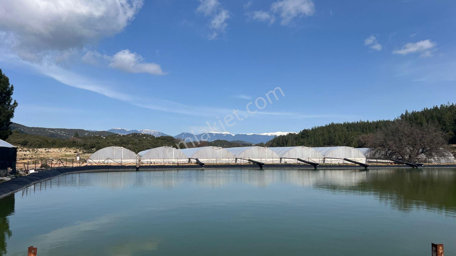 Antalya İli Kaş İlçesi Sarılar Mahallesinde Satılık Projeli Sera - Görsel 19