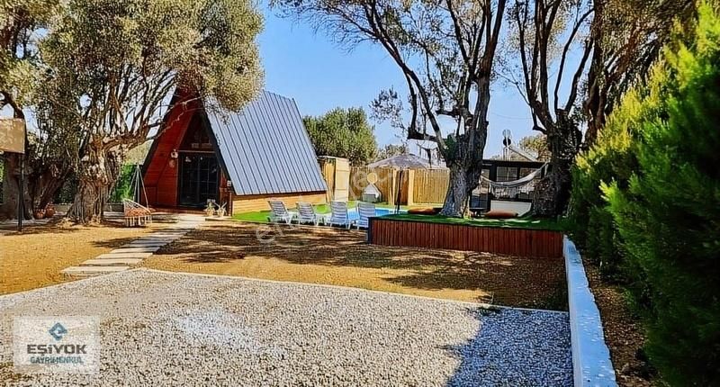 Bu Yerin Eşiyoooook - Görsel 2