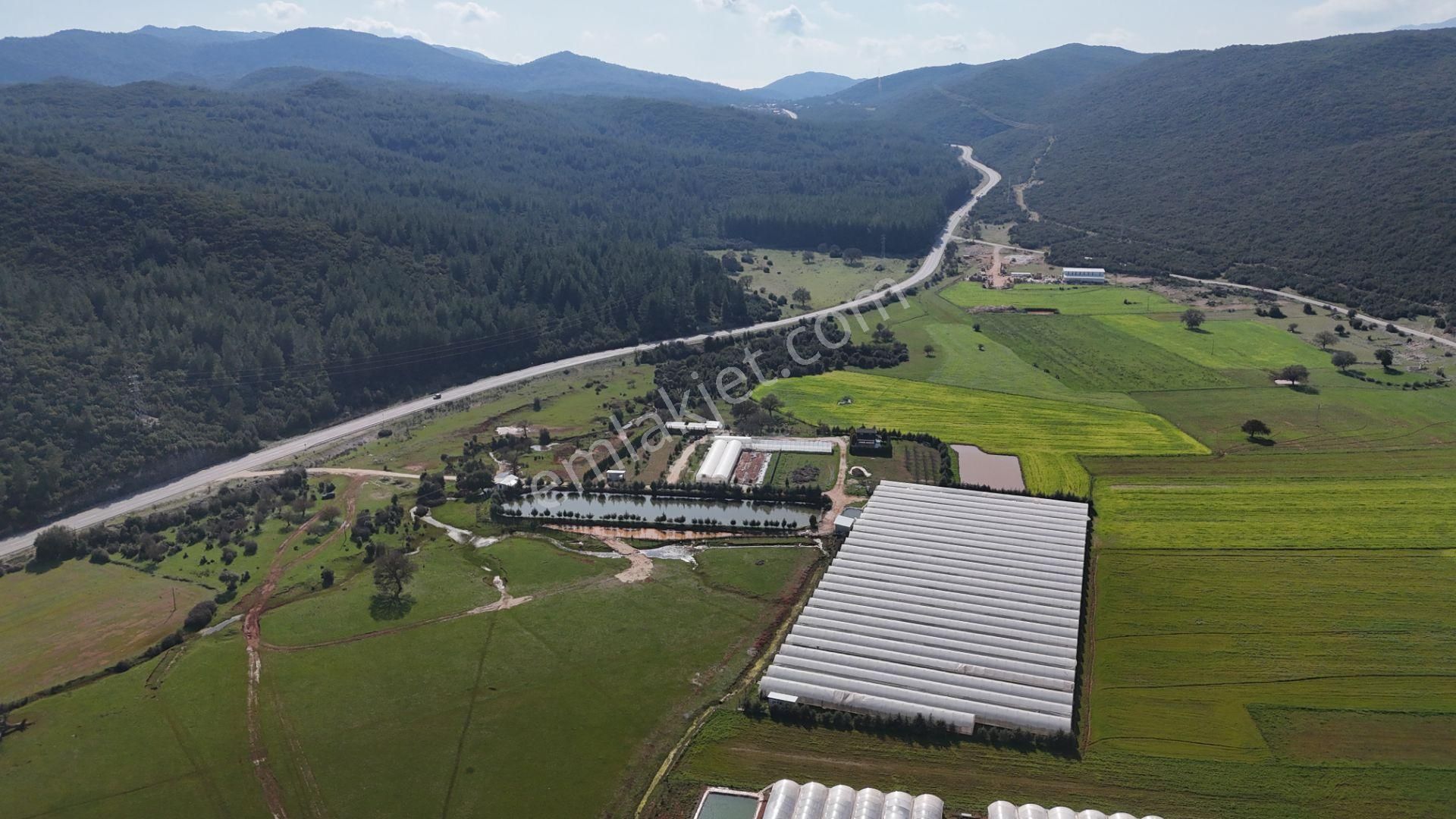 Antalya Kaş Sarılar Mah. Kocaalan Mevkinde 12.000 M2 Sera - Görsel 21