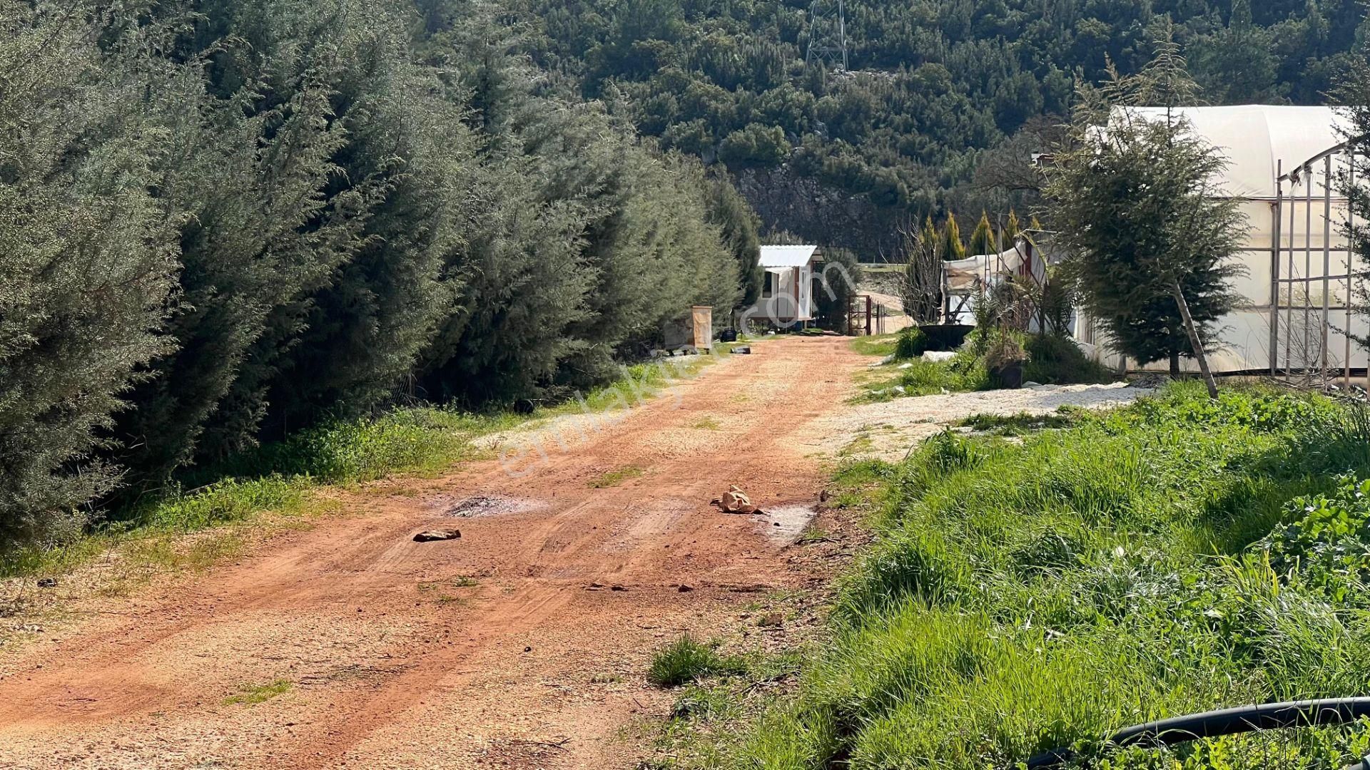 Antalya Kaş Sarılar Mah. Kocaalan Mevkinde 12.000 M2 Sera - Görsel 15