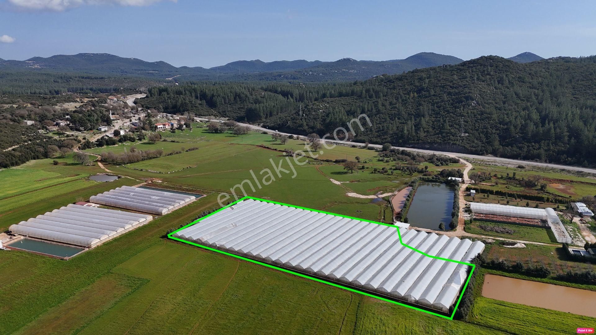 Antalya Kaş Sarılar Mah. Kocaalan Mevkinde 12.000 M2 Sera - Görsel 2