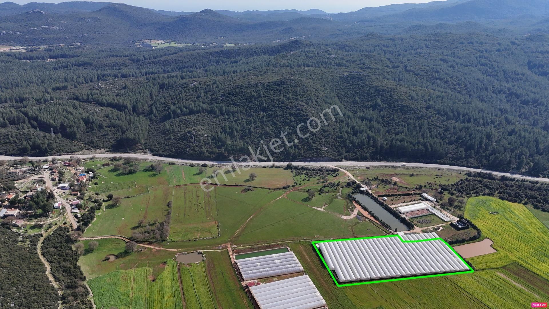 Antalya Kaş Sarılar Mah. Kocaalan Mevkinde 12.000 M2 Sera - Görsel 5