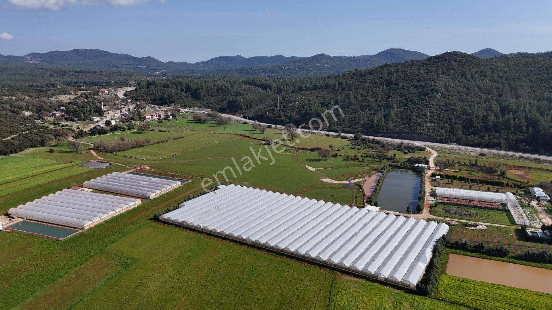 Antalya Kaş Sarılar Mah. Kocaalan Mevkinde 12.000 M2 Sera - Görsel 19