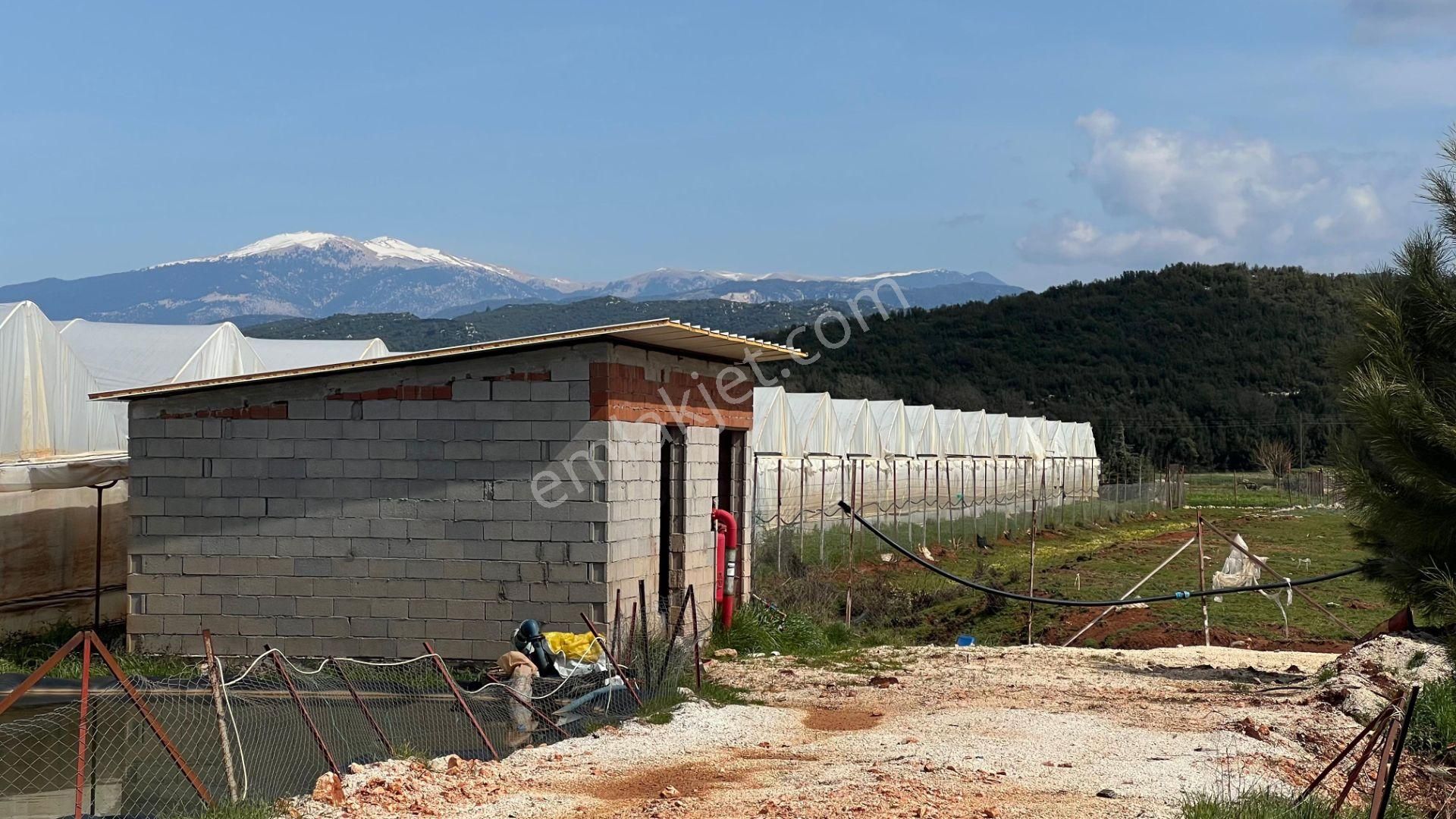 Antalya Kaş Sarılar Mah. Kocaalan Mevkinde 12.000 M2 Sera - Görsel 8