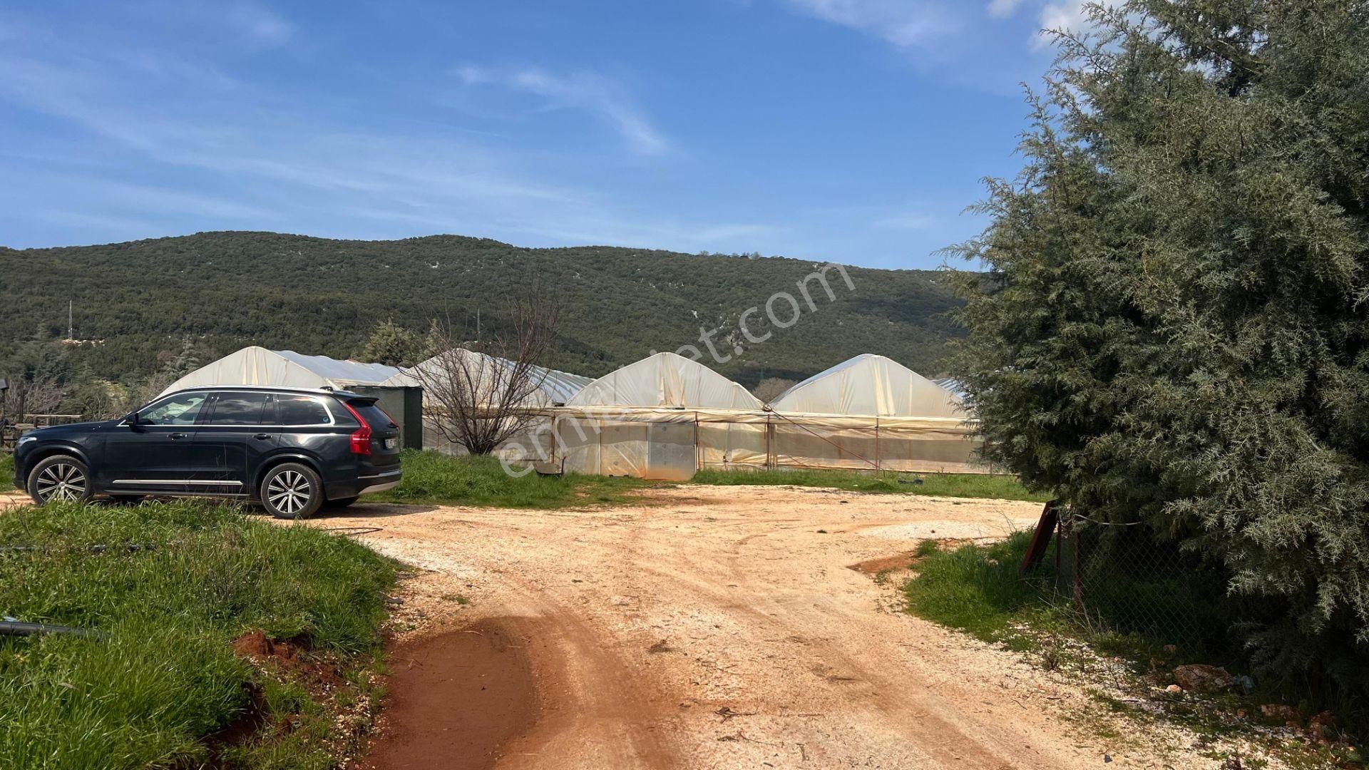 Antalya Kaş Sarılar Mah. Kocaalan Mevkinde 12.000 M2 Sera - Görsel 17