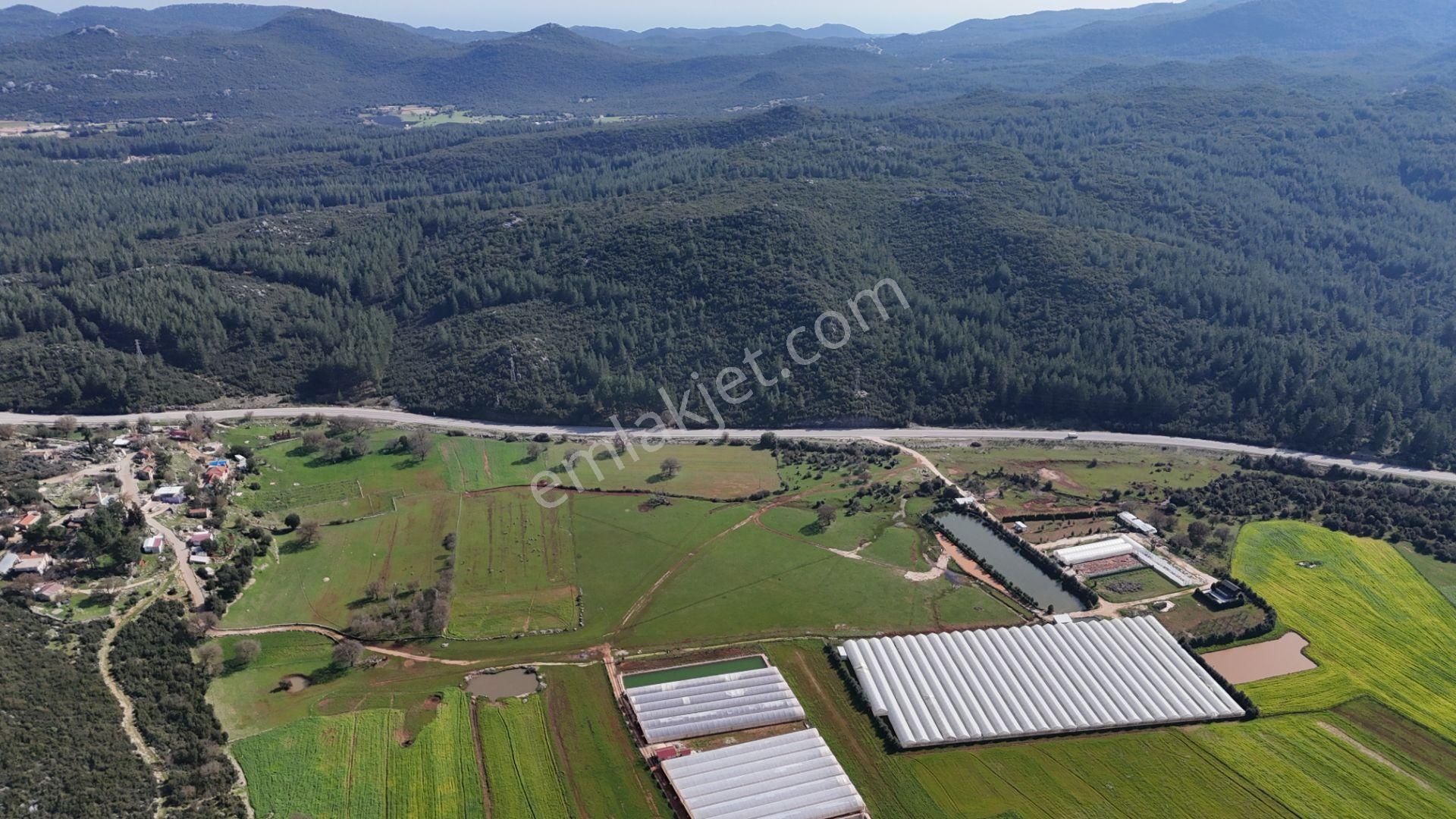 Antalya Kaş Sarılar Mah. Kocaalan Mevkinde 12.000 M2 Sera - Görsel 22