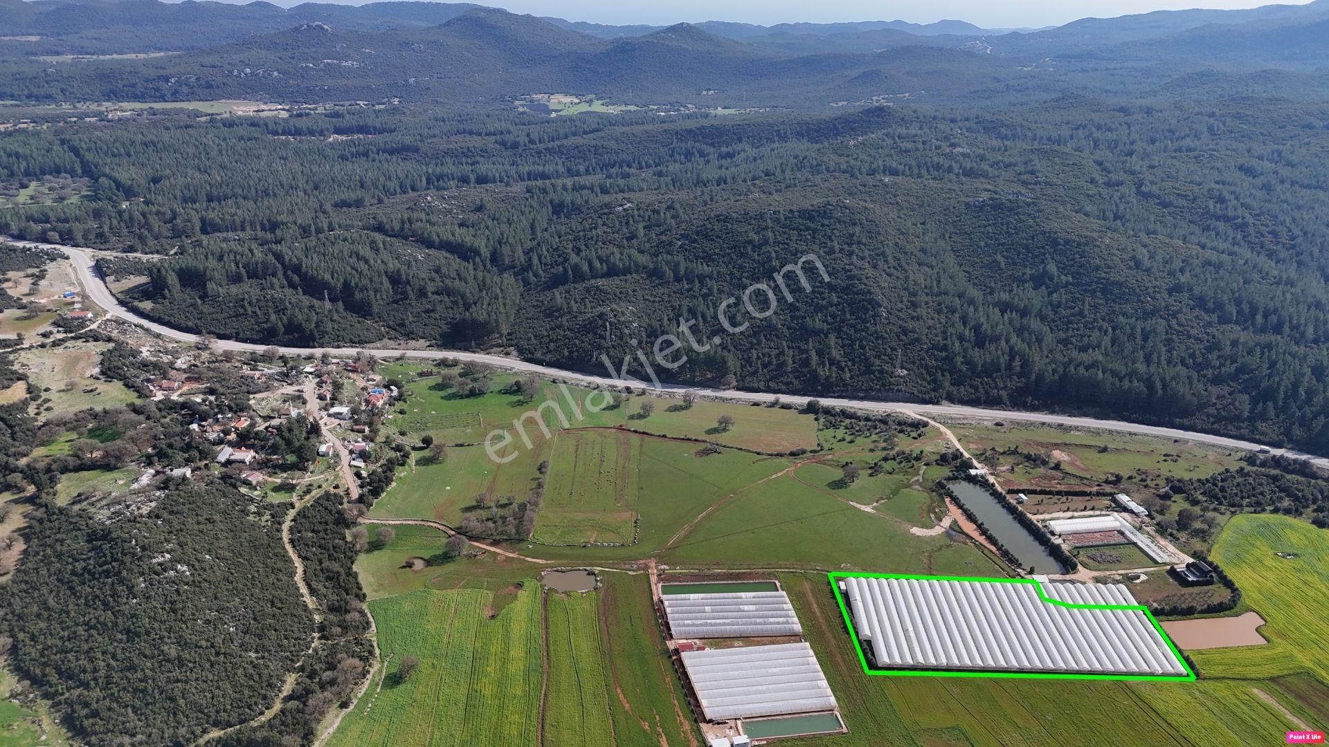 Antalya Kaş Sarılar Mah. Kocaalan Mevkinde 12.000 M2 Sera - Görsel 6