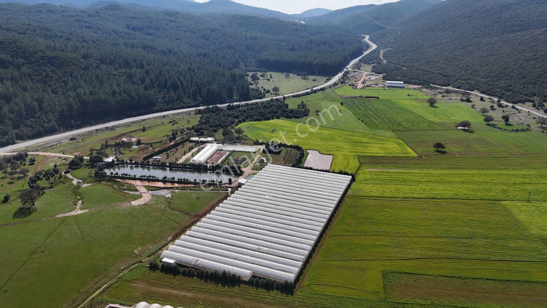 Antalya Kaş Sarılar Mah. Kocaalan Mevkinde 12.000 M2 Sera - Görsel 20