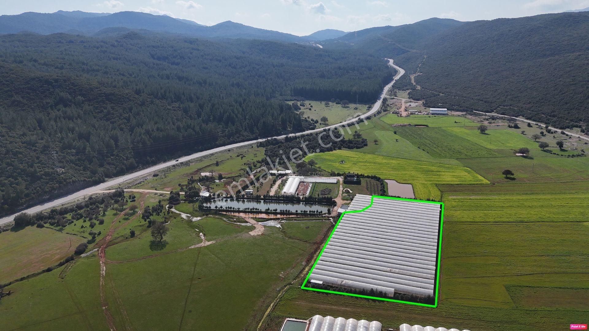 Antalya Kaş Sarılar Mah. Kocaalan Mevkinde 12.000 M2 Sera - Görsel 4