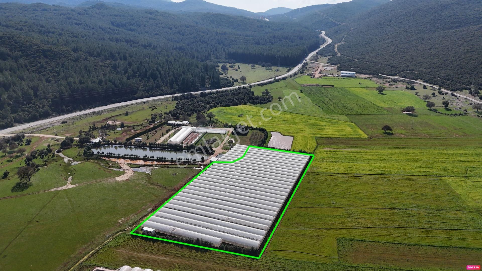 Antalya Kaş Sarılar Mah. Kocaalan Mevkinde 12.000 M2 Sera - Görsel 3