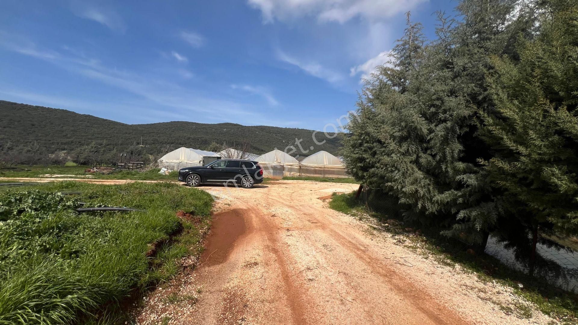 Antalya Kaş Sarılar Mah. Kocaalan Mevkinde 12.000 M2 Sera - Görsel 16