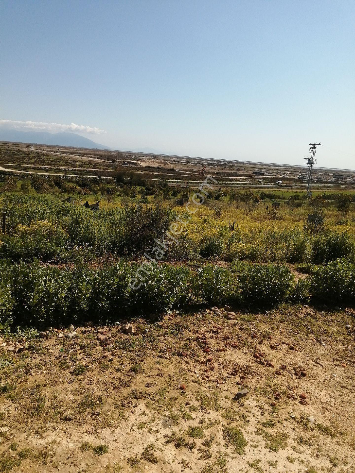 Adana Karataş Bebeli Tarım Osb Bitişiğinde Hobi Bahçesi Ve Yatırımlık Arsa - Görsel 2