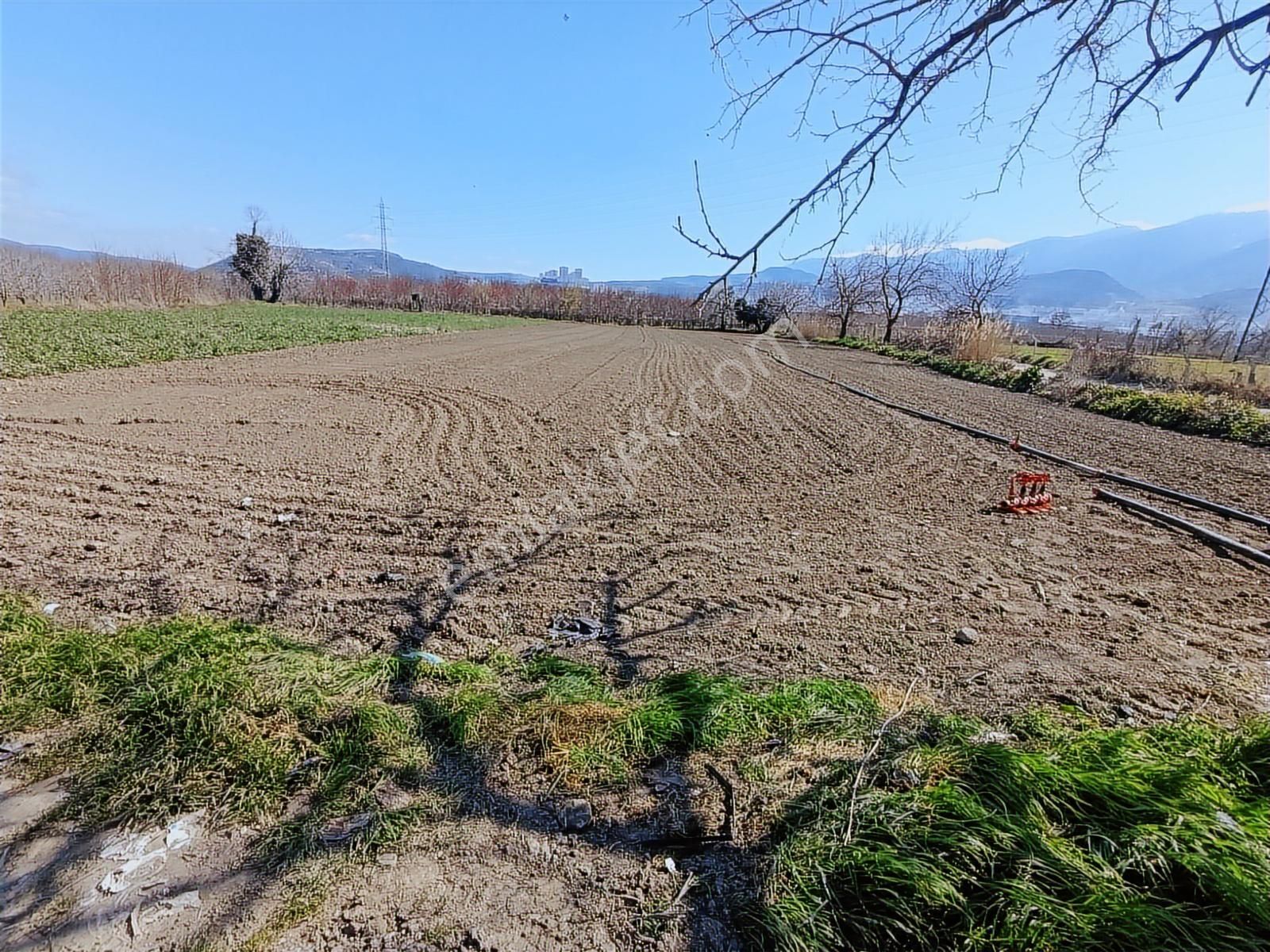 Gürsu'da Sanayi Ve Konut İmarının Dibinde Satılık Arazi