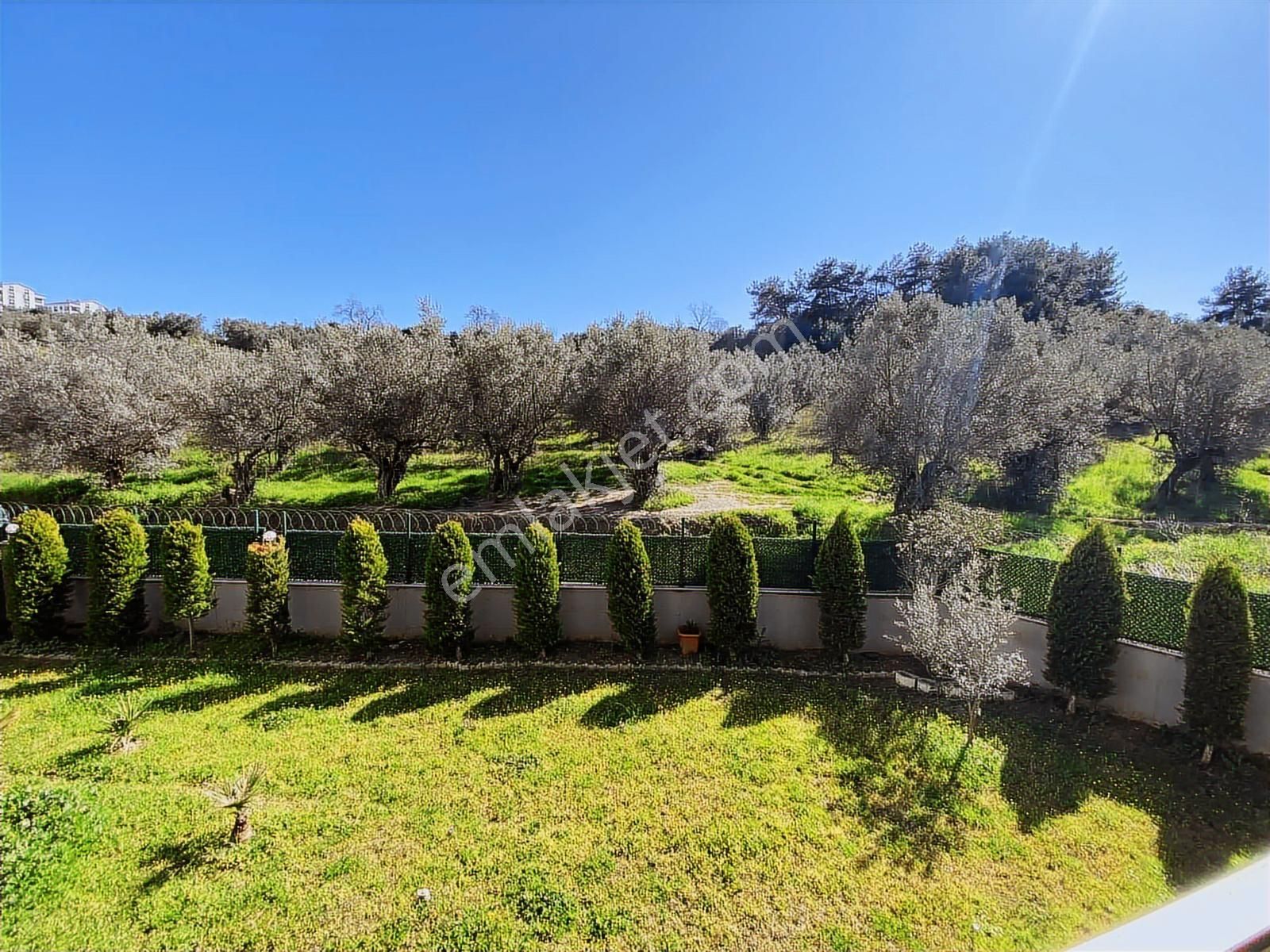 K2 Pera'dan Güzelyalı'da Zeytinliklerin İçinde Huzur 2+1 100 M2 - Görsel 5