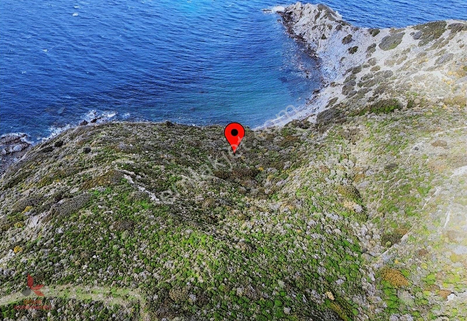 Denize Sıfır Tarla !!! - Görsel 6