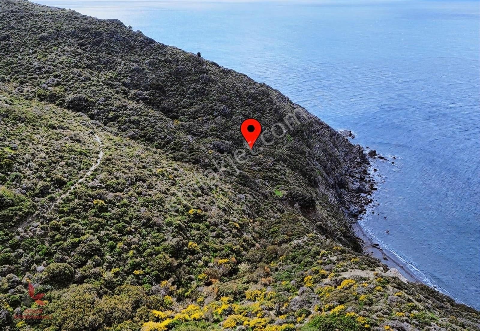 Denize Sıfır Tarla !!! - Görsel 2