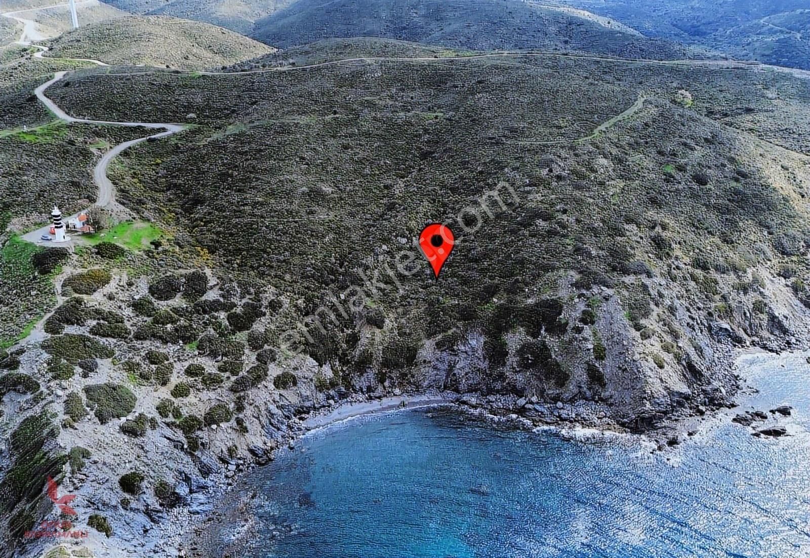 Denize Sıfır Tarla !!! - Görsel 5