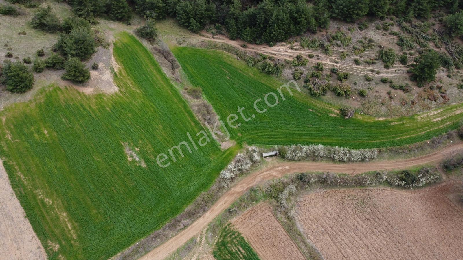 Karataş'tan Fırsat 10.000 M2 Emsalsiz Alaylı'da Merkeze 10 Dk - Görsel 16