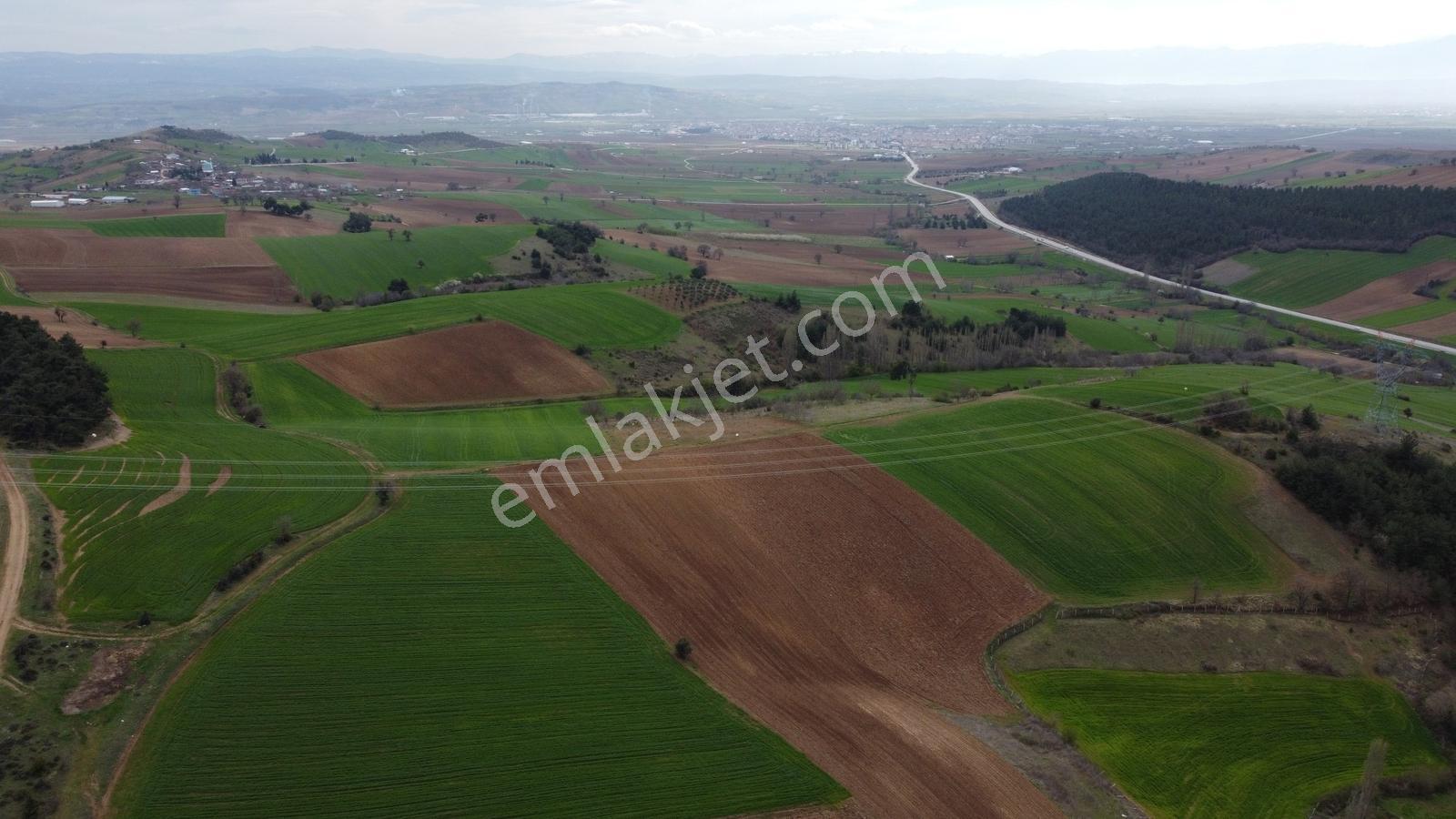 Karataş'tan Fırsat 10.000 M2 Emsalsiz Alaylı'da Merkeze 10 Dk - Görsel 19