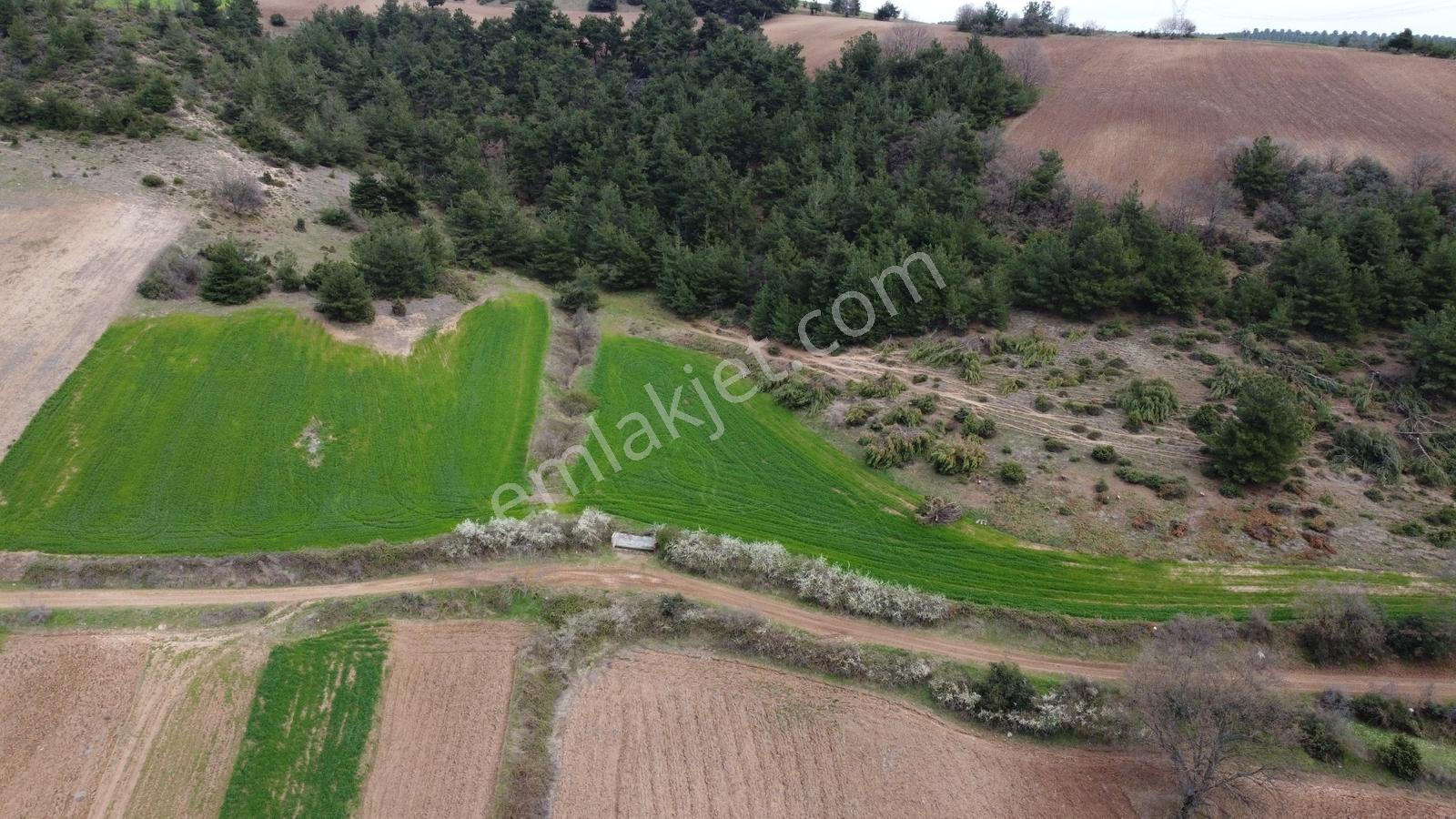Karataş'tan Fırsat 10.000 M2 Emsalsiz Alaylı'da Merkeze 10 Dk - Görsel 8