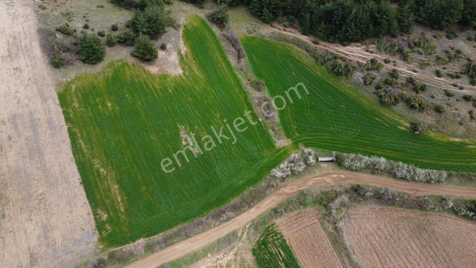 Karataş'tan Fırsat 10.000 M2 Emsalsiz Alaylı'da Merkeze 10 Dk - Görsel 9