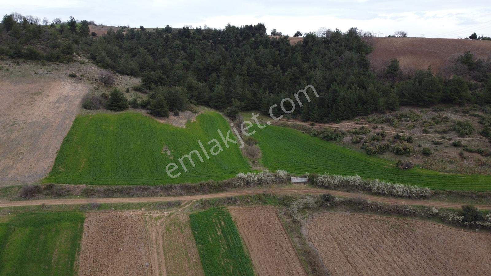 Karataş'tan Fırsat 10.000 M2 Emsalsiz Alaylı'da Merkeze 10 Dk - Görsel 12