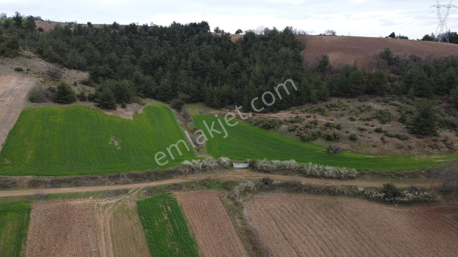 Karataş'tan Fırsat 10.000 M2 Emsalsiz Alaylı'da Merkeze 10 Dk - Görsel 11